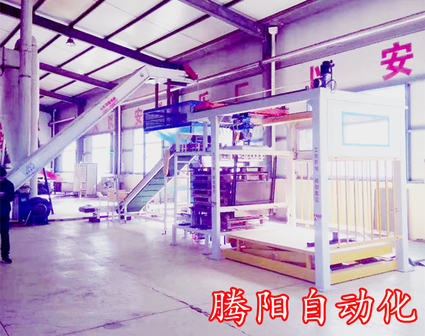 全自動(dòng)碼垛機(jī)器人廠家設(shè)備選型