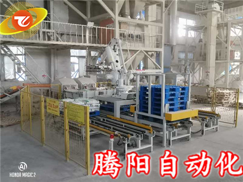騰陽碼垛機器人值得我們投資應(yīng)用