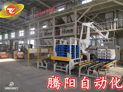 碼垛機(jī)器人的包裝類型及應(yīng)用