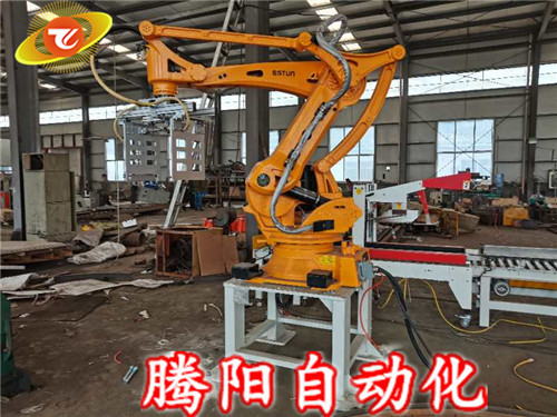碼垛機器人的包裝類型及廣泛應用