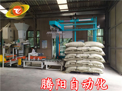 坐標碼垛機主要應用在哪些地方