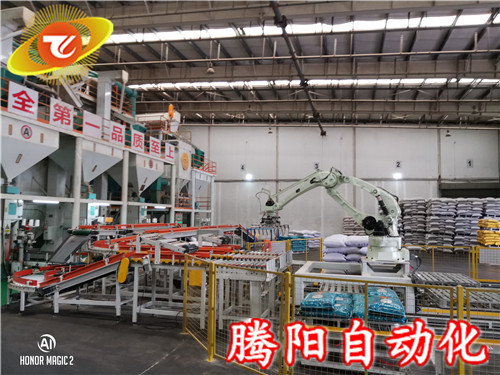 碼垛機(jī)器人的安裝與驗(yàn)收
