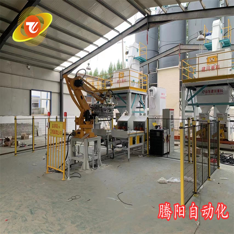 騰陽(yáng)碼垛機(jī)